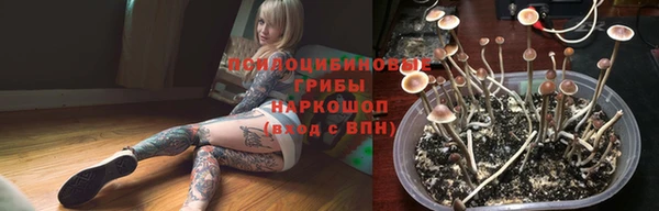 мет Алексин