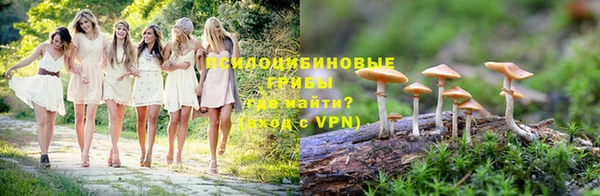 мет Алексин