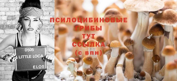 спиды Абаза