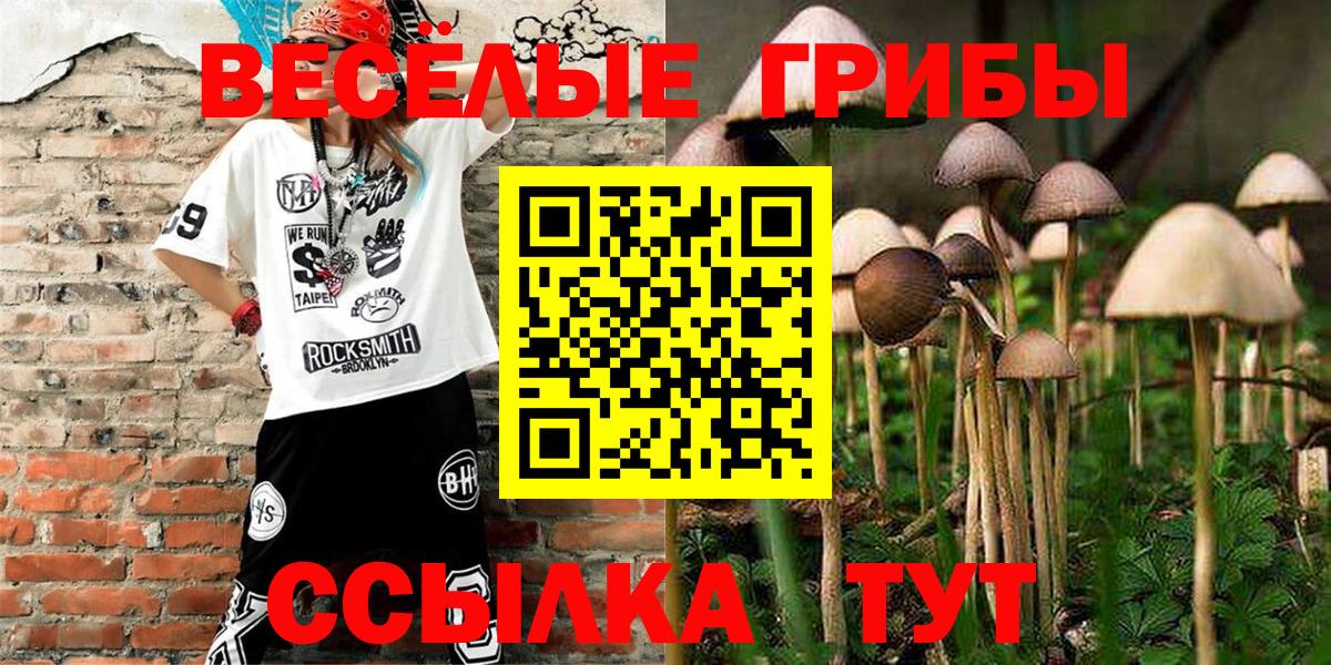 Псилоцибиновые грибы мухоморы Красноармейск